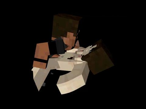 Porn Minecraft Animation, Video, GIFs. The sex scenes based on the game