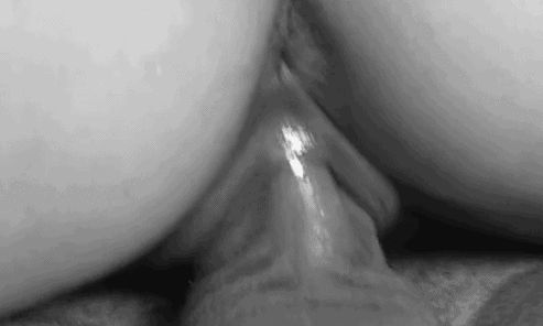 GIFアニメーションの膣。女性器のポルノGIF